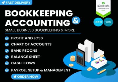 I will virtually maintain your Financial books