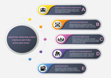 I will design your professional inforgraphic,  Flow chart for your Business