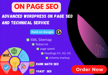I will provide advanced WordPress on page SEO and technical optimization