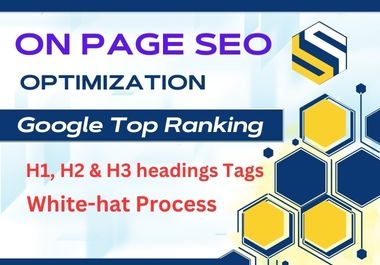 I will do complete on page SEO optimization Service Optimize Website
