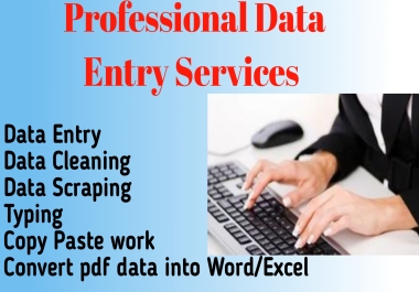 I will do data entry data cleaning typing and copy paste