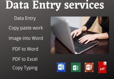 Professional Data Entry and Article Writing Service