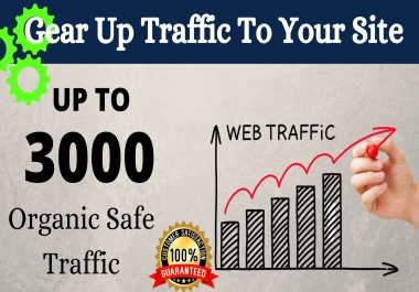 Drive 3000 Real organic Traffic to your site and promote your Affiliate link to generate income