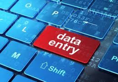 I will do fast excel data entry,  copy paste,  PDF to excel file,  typing