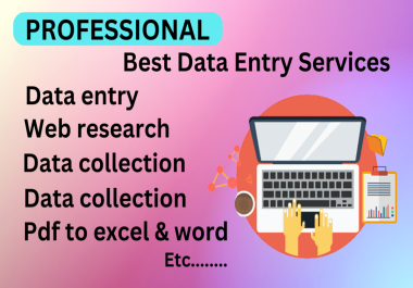 I am a Professional data entry Operator,  copy paste,  typing,  pdf to word