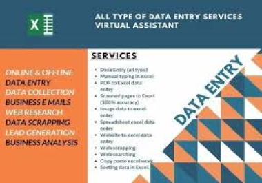 Data Entry,  Virtual Assistant,  Word to PDF,  Email,  Web Browser