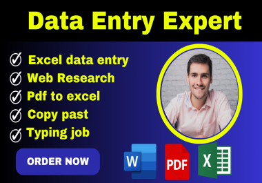 I will Do Excel Data Entry,  Copy Paste,  Typing,  Data analysis expect