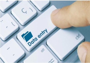 'Data Entry works Specialist '