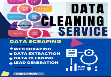 Expert Excel Data Cleaning Services