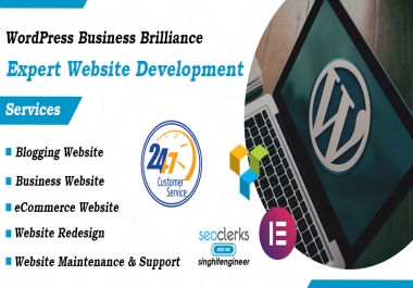 Get A Professional SEO Optimized and Responsive WordPress Website