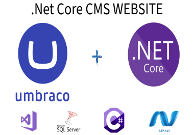 I will craft your umbraco cms website, . net core