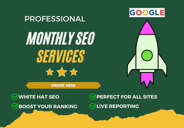 I will provide full monthly SEO services