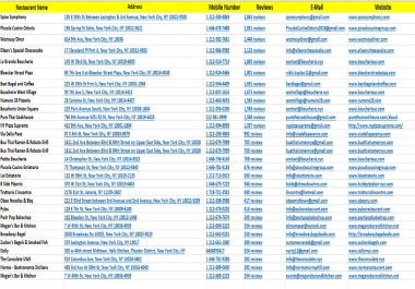 I will export unlimited apollo io lead generation for any industry