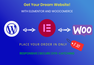 I will make a professional and modern wordpress website using elementor page builder
