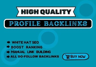 Manually 175 HQ Profile SEO Backlink for rank Website