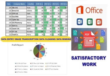 I will do data entry,  data minning,  data cleaning,  data formatting,  image transcription