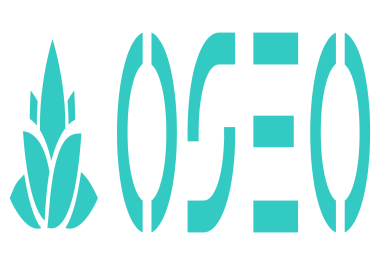 SEO Expert to grow your web business