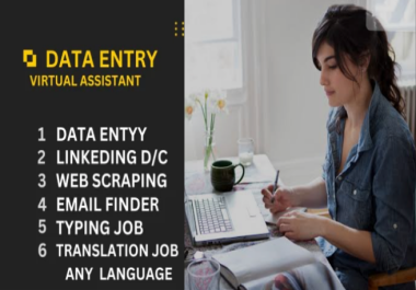 I will do properly data entry and translation job any language