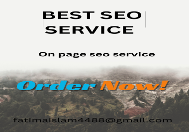 On page seo and tehcnical seo for yor wordpress site