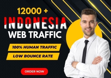 Get 12000+ targeted indonesia website traffic,  web visitors,  indonesia real traffic to your website