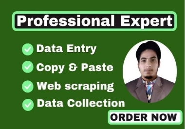I will do data entry,  web scraping,  copy paste