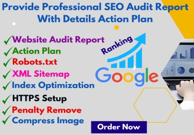 I will provide Professional website SEO audit report with a detailed action plan