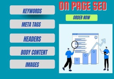 I will provide Professional On-Page and technical SEO Optimization services