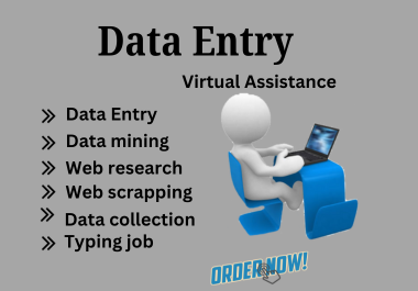 I will perform data entry,  data mining,  web scraping,  and typing job as a virtual assistant.