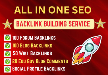 ALL IN ONE SEO Building Service In your websites