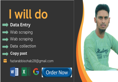 I will do data entry,  web scraping,  excel,  typing,  copy paste work