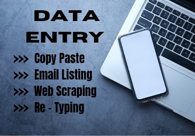 I will do data entry work with high quality.