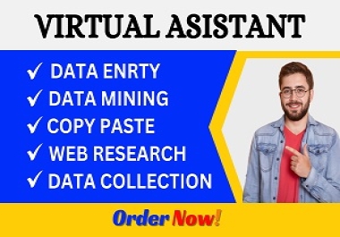 I will do virtual assistant for data entry,  data mining,  copy paste,  web research
