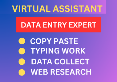 I will do data entry,  web scraping,  excel,  typing work