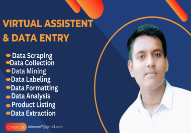 I will be your virtual assistant and Data Entry,  data analysis,  Typing and data mining