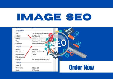I will do optimize your image for SEO