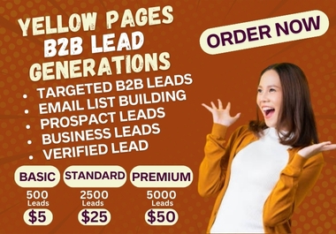 I will collect targeted b2b Yellow pages Lead generations for any niche