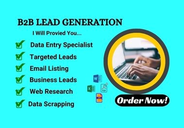 I will Provide B2B Lead generation and data entry & web research.