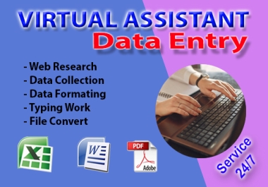I will do data entry,  web research,  data collection