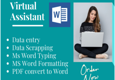 I will be your Virtual Assistant for data entry,  typing and copy paste work.