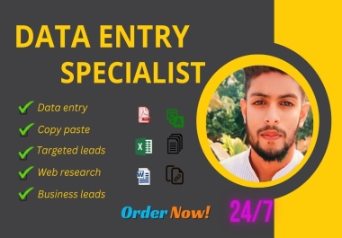 I am a professional data entry, web research, copy paste, Business leads