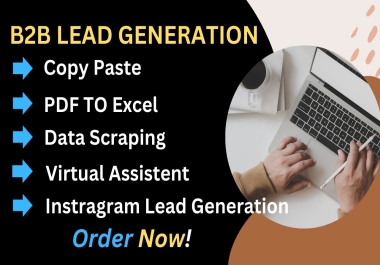 I will do b2b lead generation,  data entry and find valid email address
