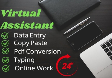 I will Online/Offline Data entry work with 100 percent accuracy
