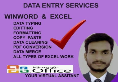 I will be virtual assistant for data entry,  copy paste,  administrative work