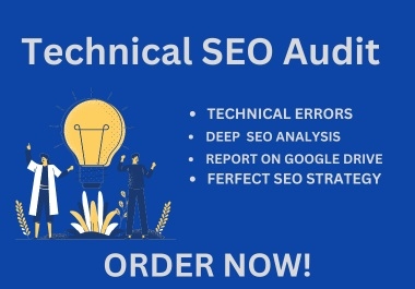 I will do a Technical SEO Audit of your website