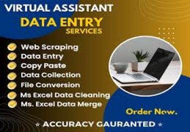 Detail-Oriented Data Entry Specialist Ready to Streamline Your Workflow