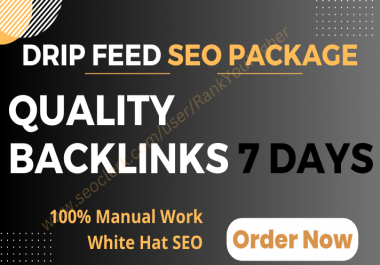 Boost Your Website On Google,  7-Day Dripfeed with 500 SEO Backlinks