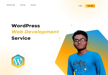 I will transform your responsive wordpress blog or website