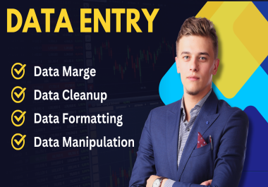 I am a professional data entry,  web scraping,  copy paste operator