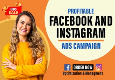 I will create facebook ads campaign,  instagram ads campaign for sales and leads