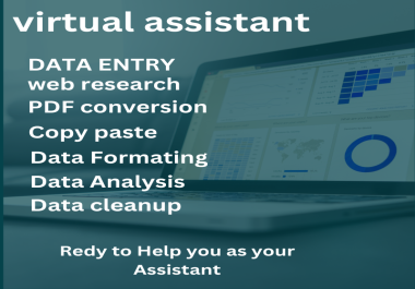 virtual assistant,  data entry,  copy paste,  web research